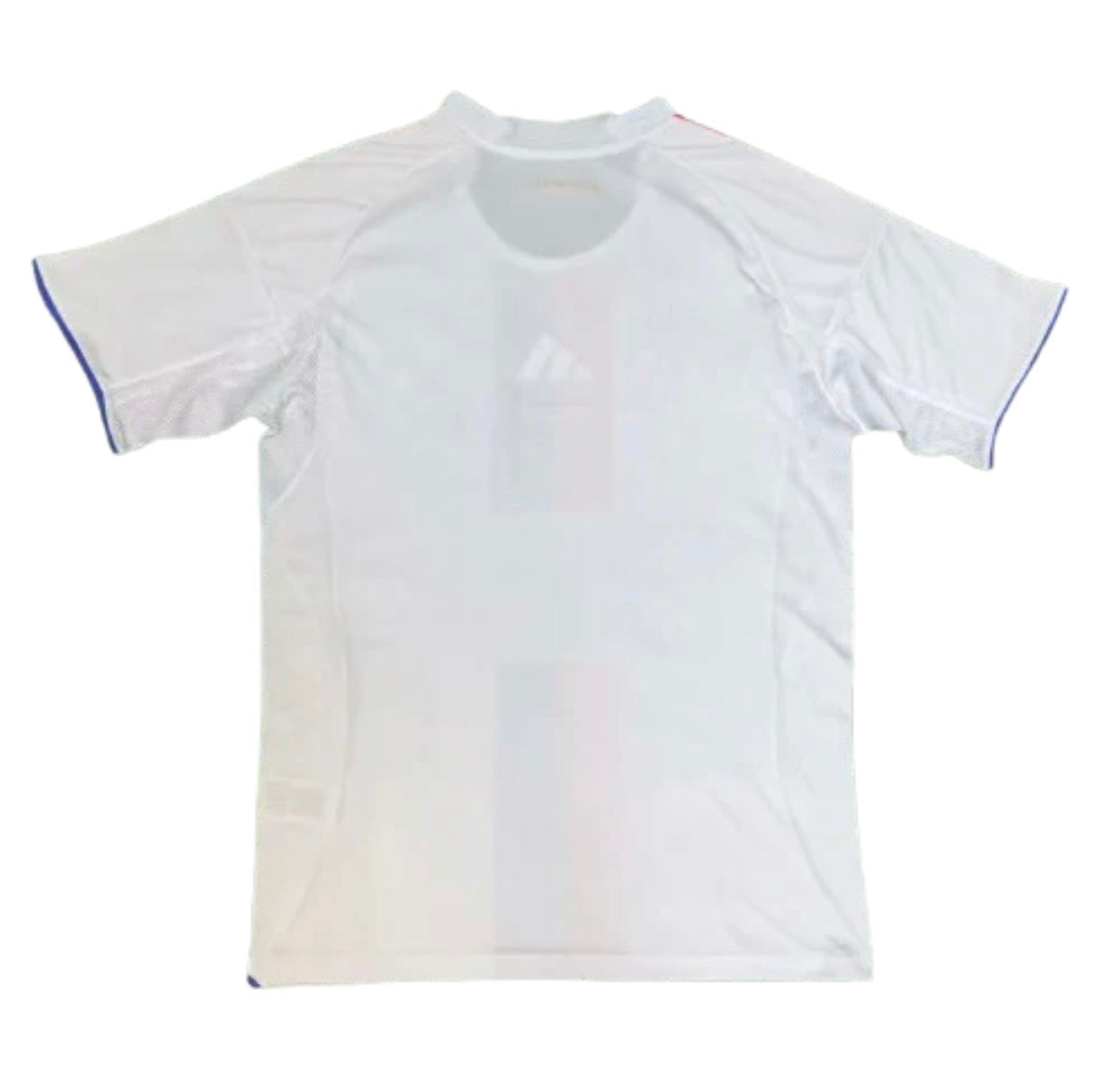 OL Domicile 2025/2026