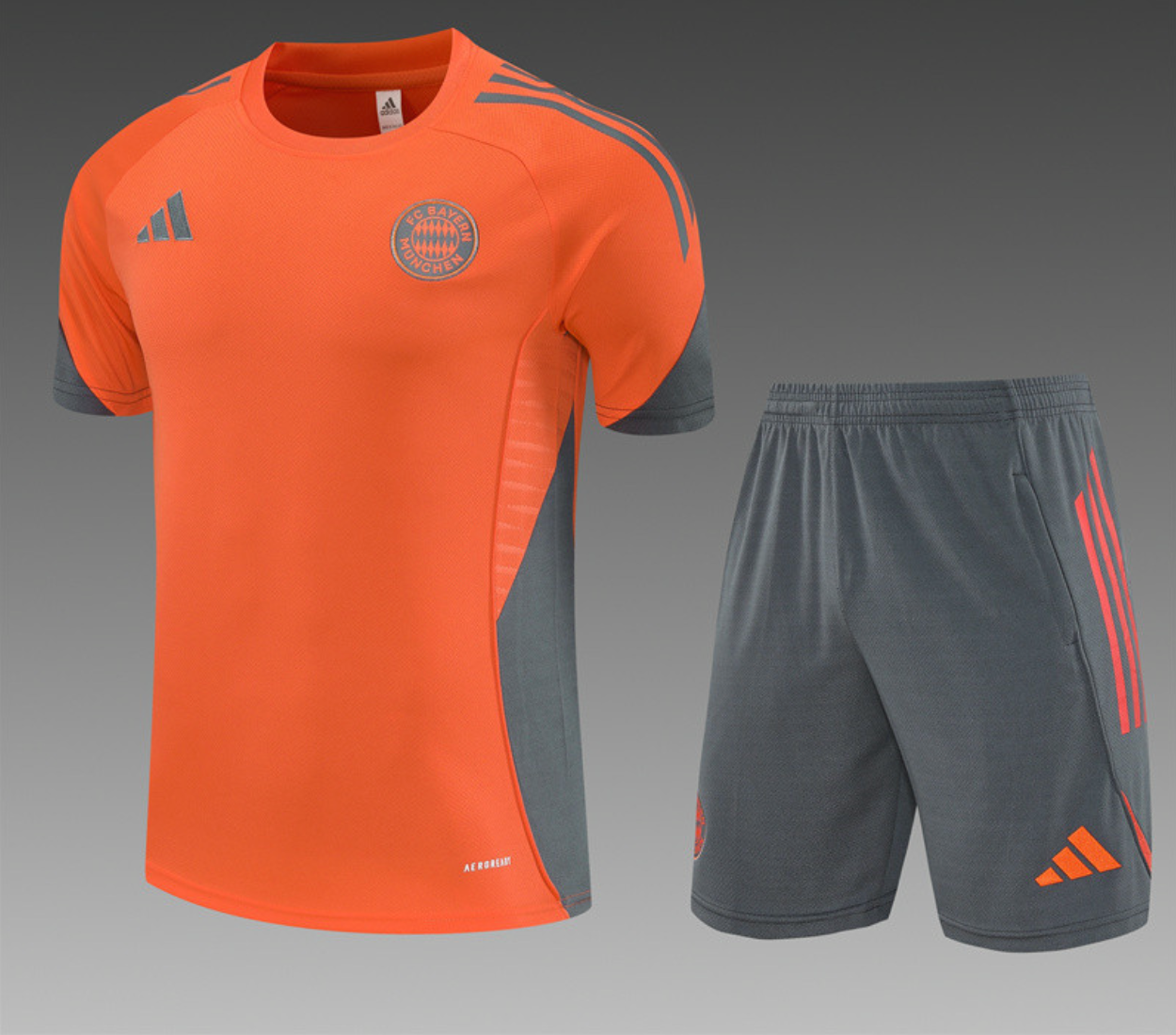 Survêtement Training Bayern Munich 2024/2025