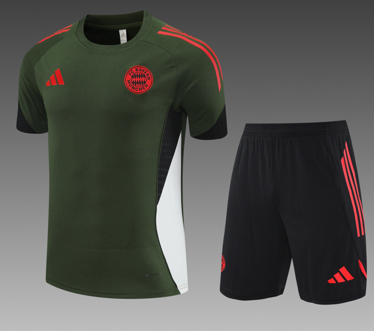 Survêtement Bayern Munich 2024/2025