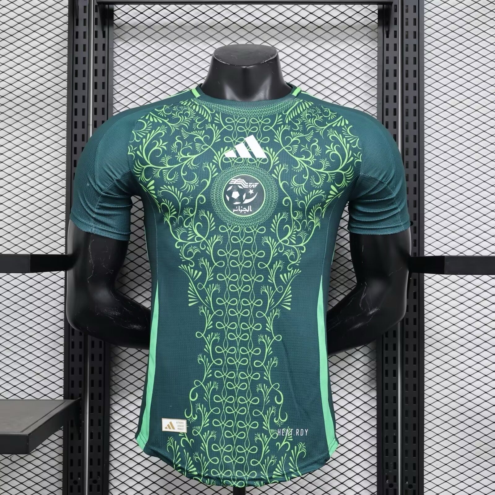 Algerien Auswärts 2024/2025