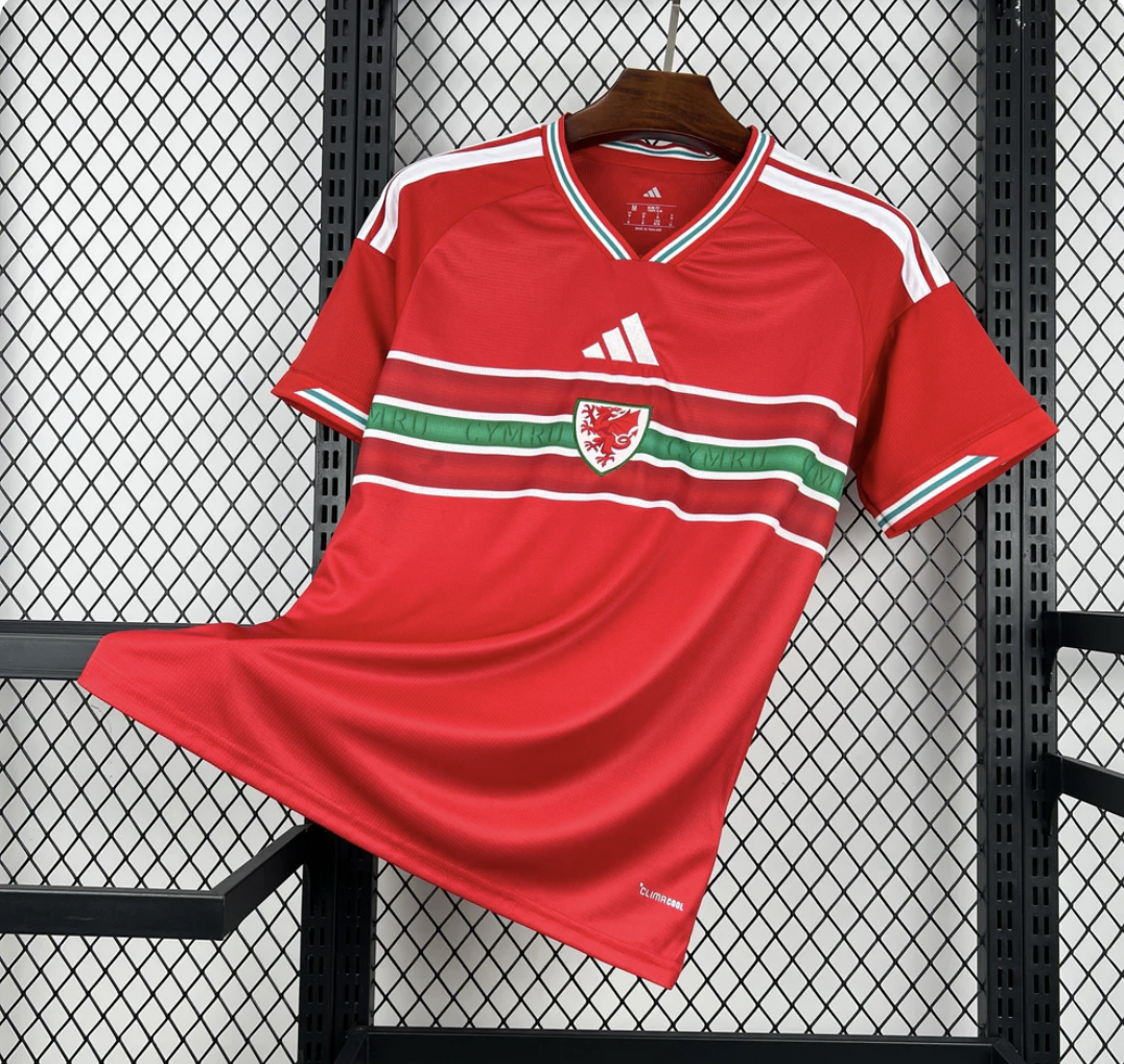 Pays De Galle Domicile 2026 Coupe Du Monde